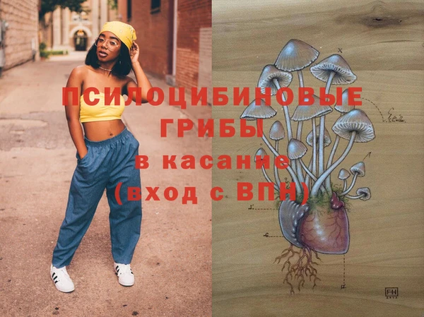 меф Армянск