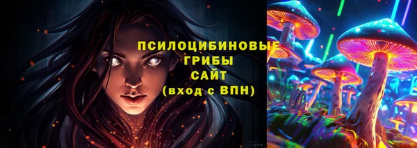 мет Арсеньев
