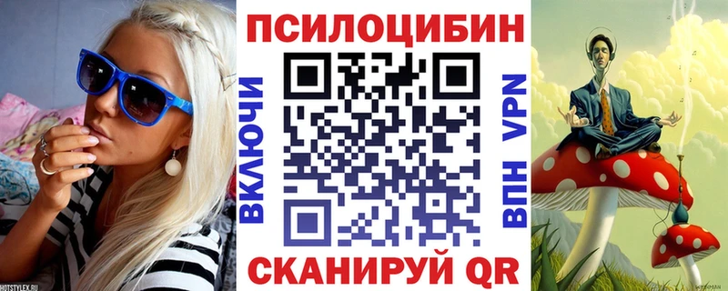 Купить закладки  Ветлуга  Псилоцибиновые грибы MAGIC MUSHROOMS 